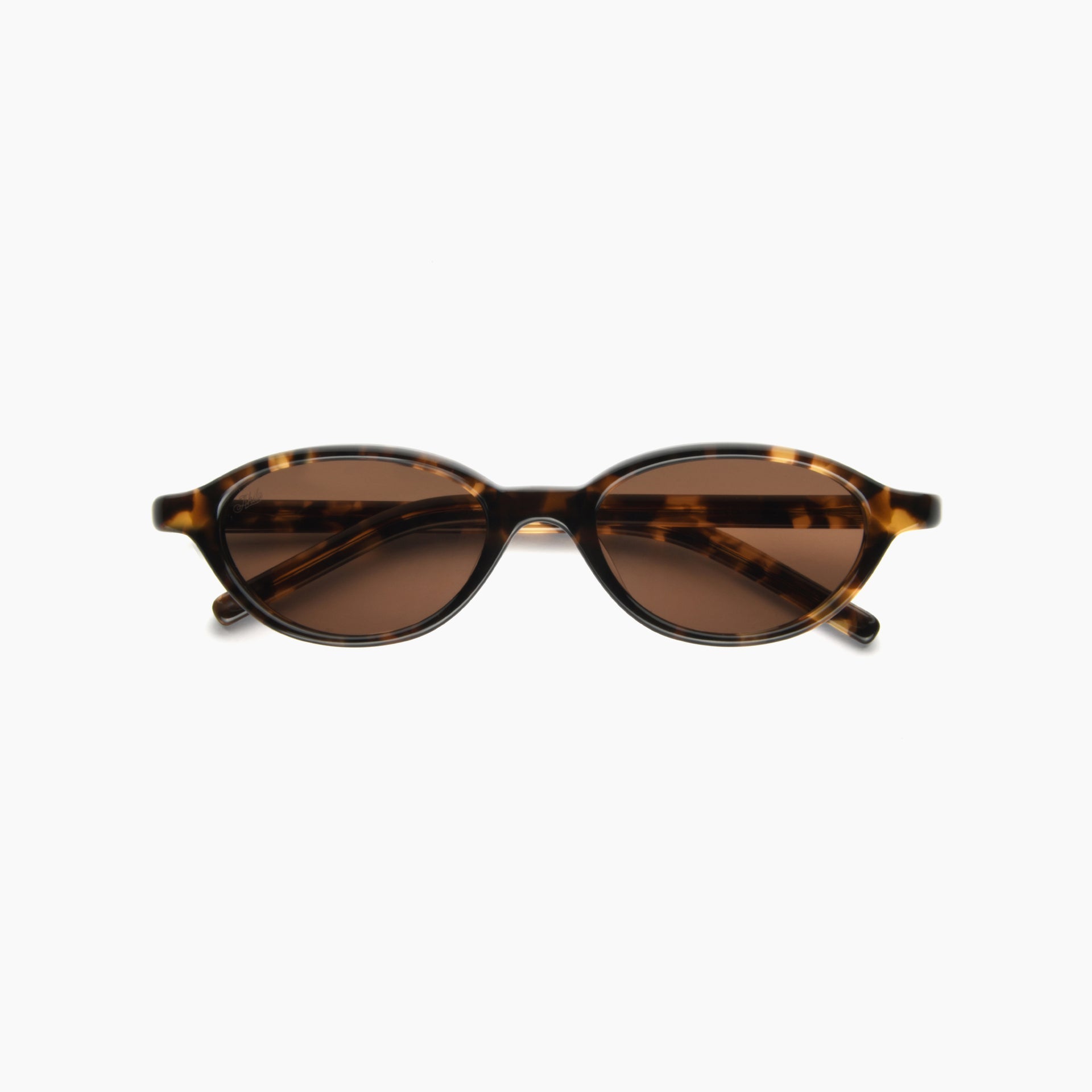 Tortoise / Brown
