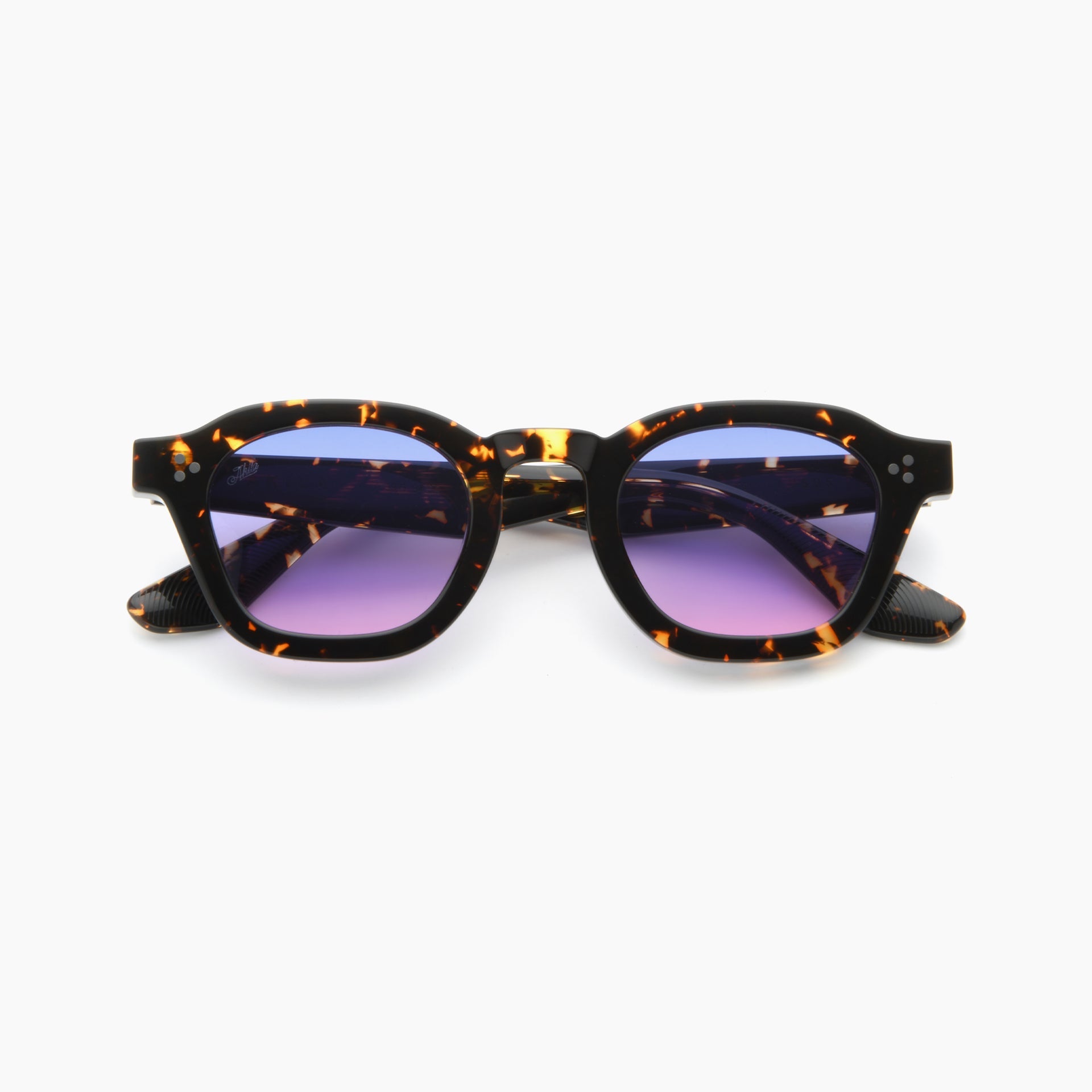 Tokyo Tortoise / Sunset