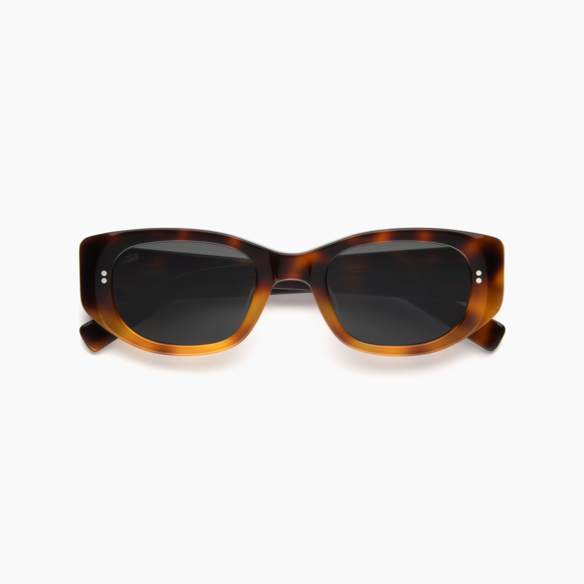 Tortoise / Black