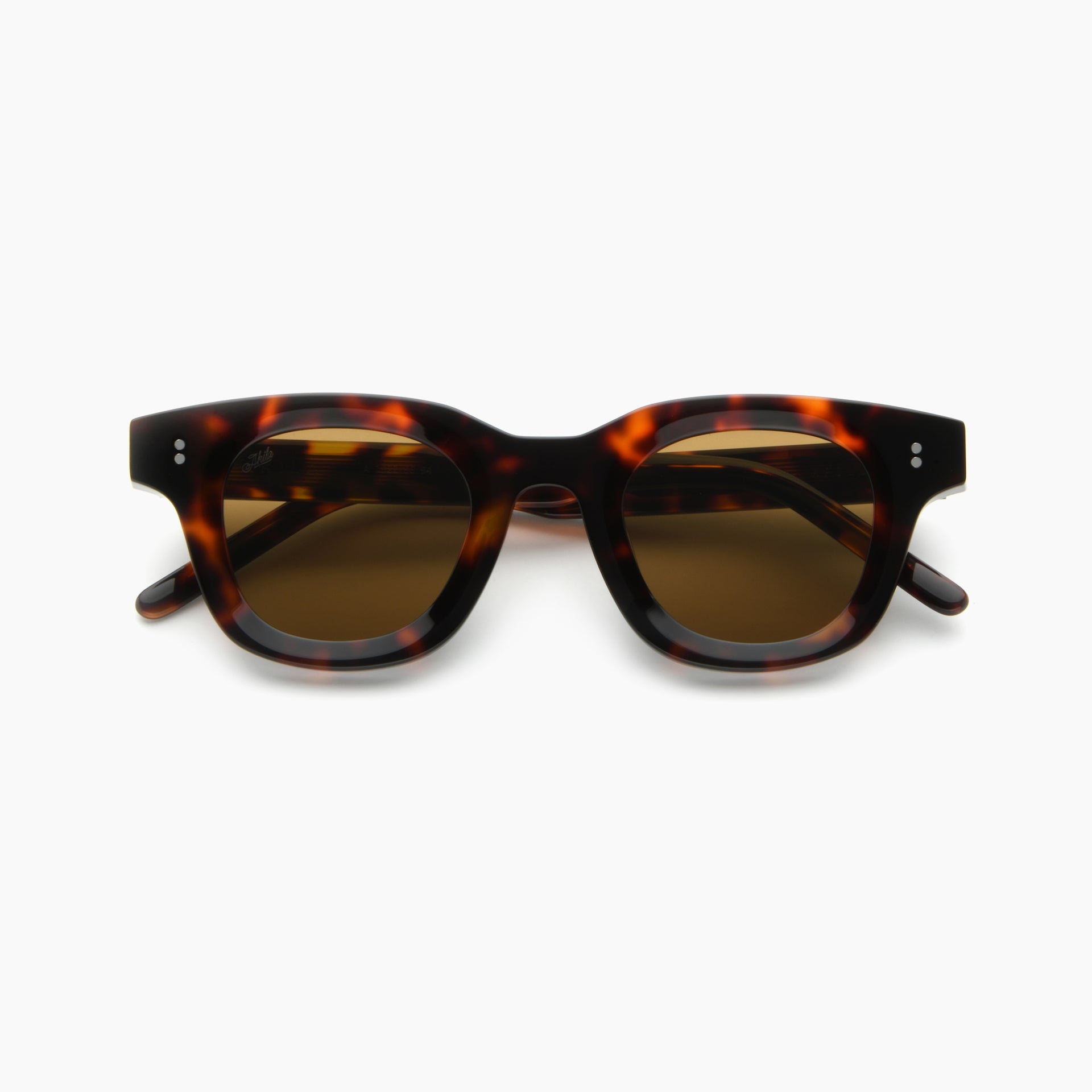 Tortoise / Brown