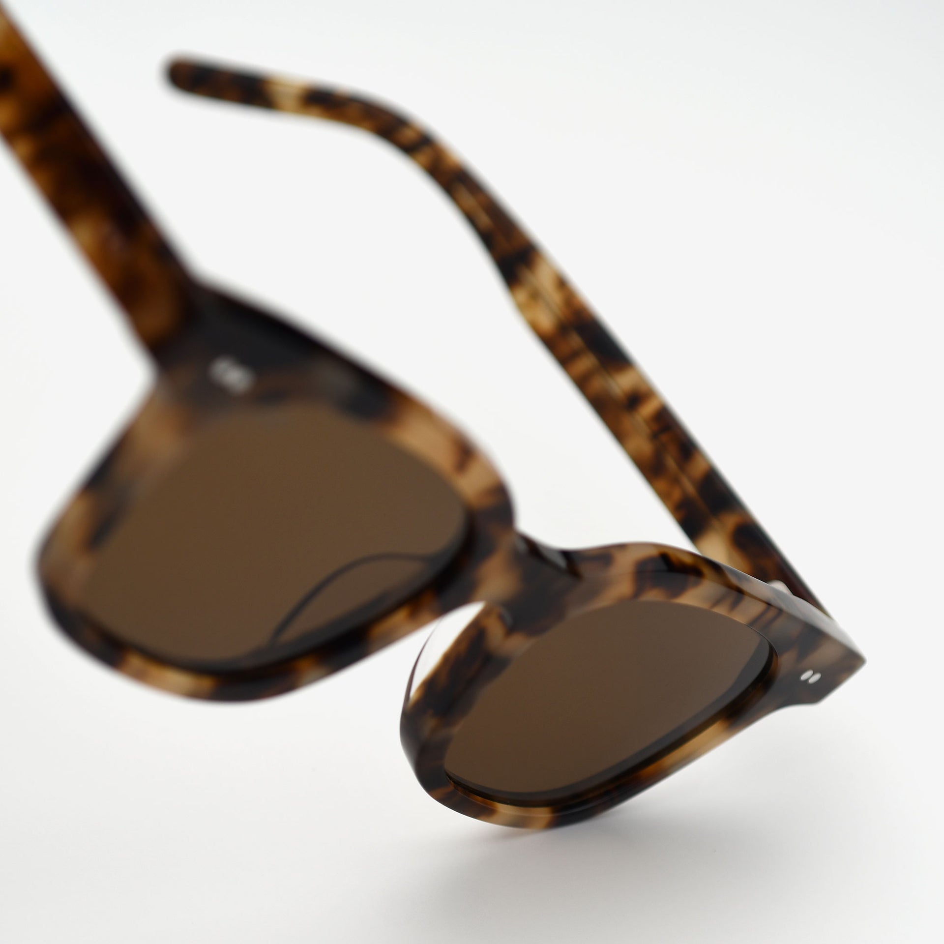 Tortoise / Brown