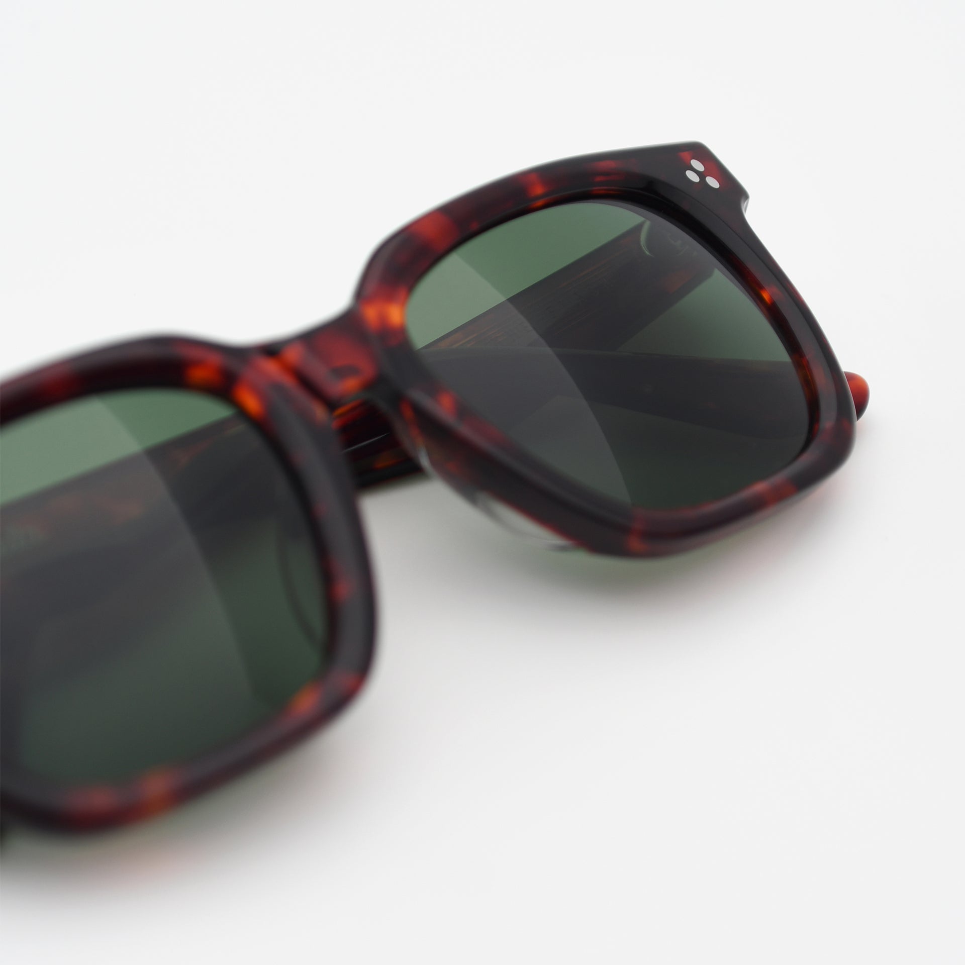 Tortoise / Green
