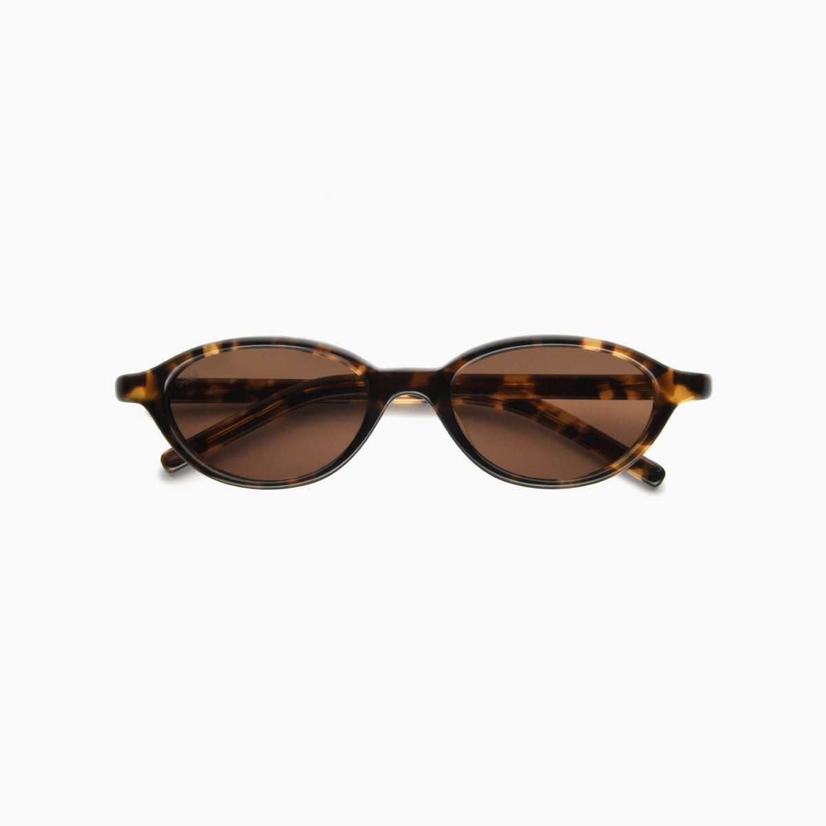 Tortoise / Brown