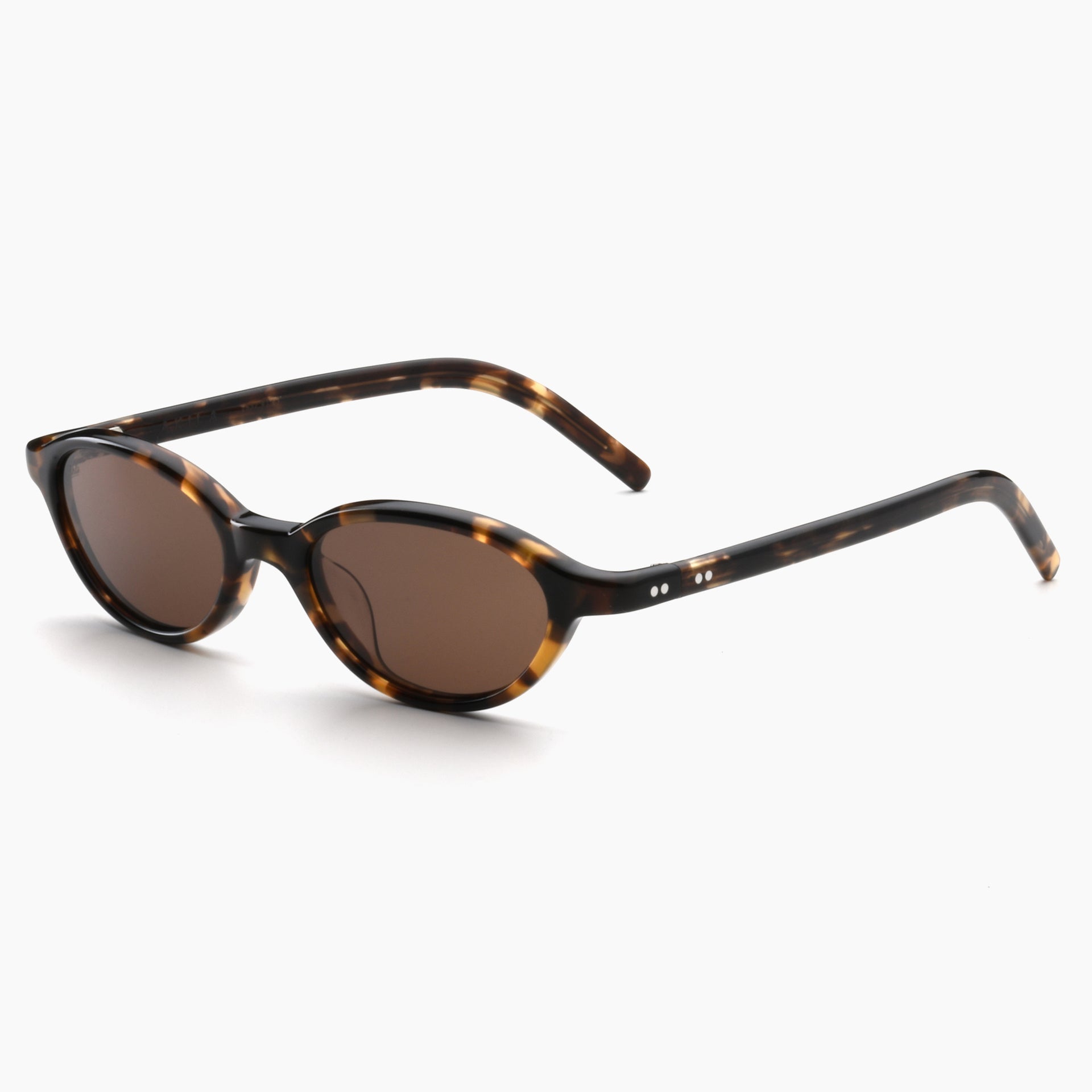 Tortoise / Brown