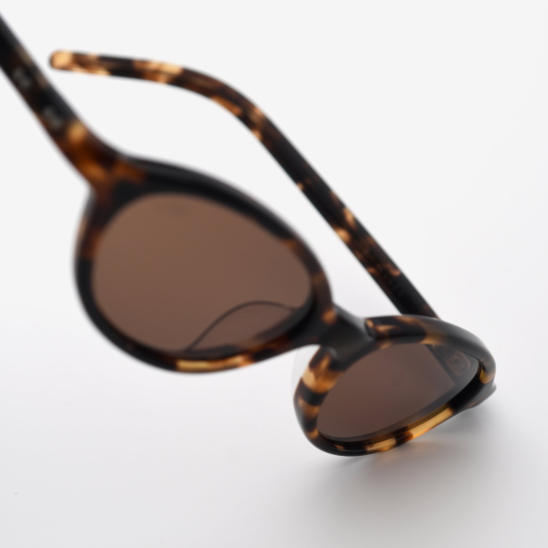 Tortoise / Brown