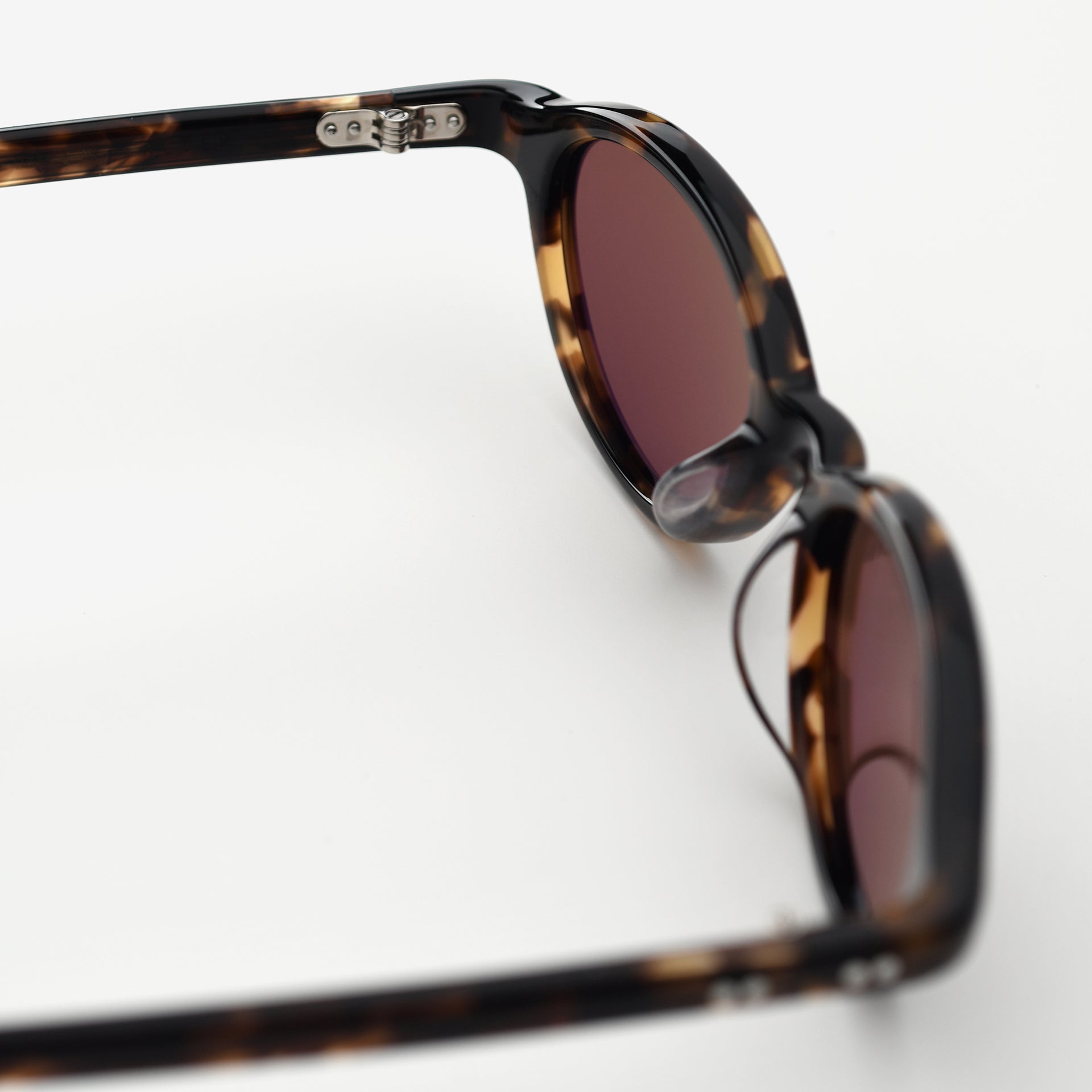 Tortoise / Brown
