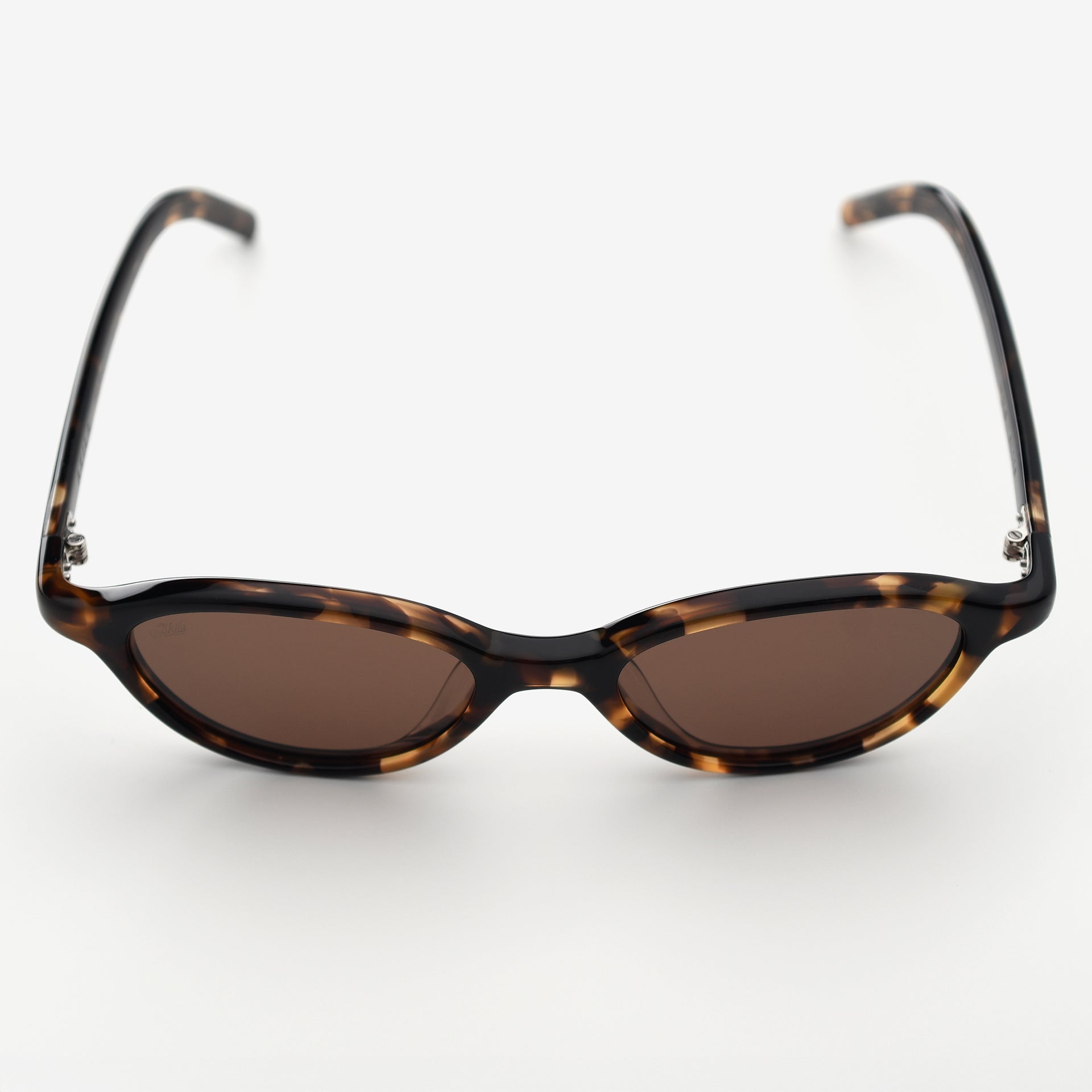 Tortoise / Brown