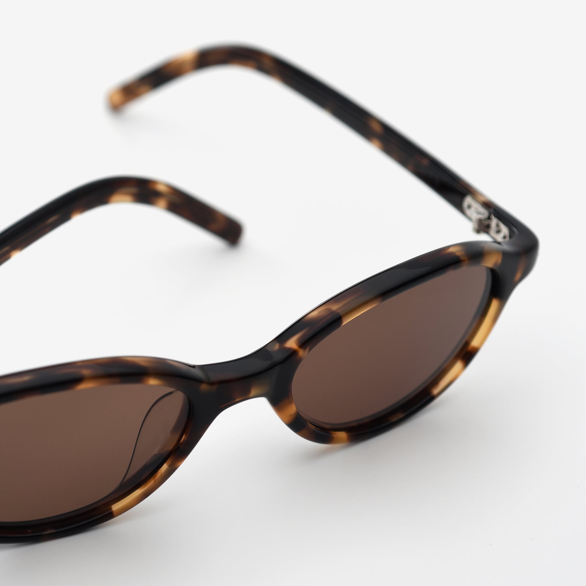 Tortoise / Brown