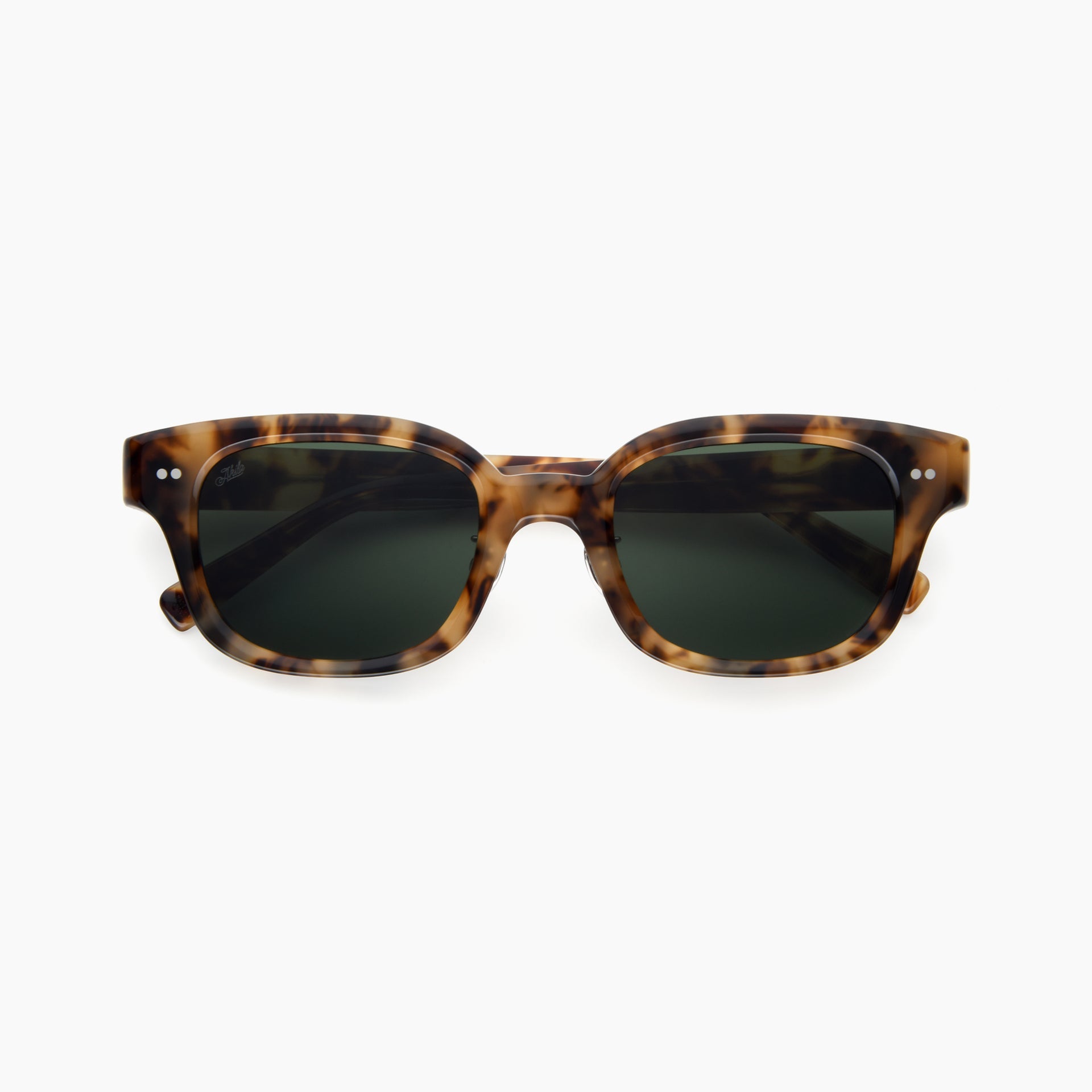 Tortoise / Pine