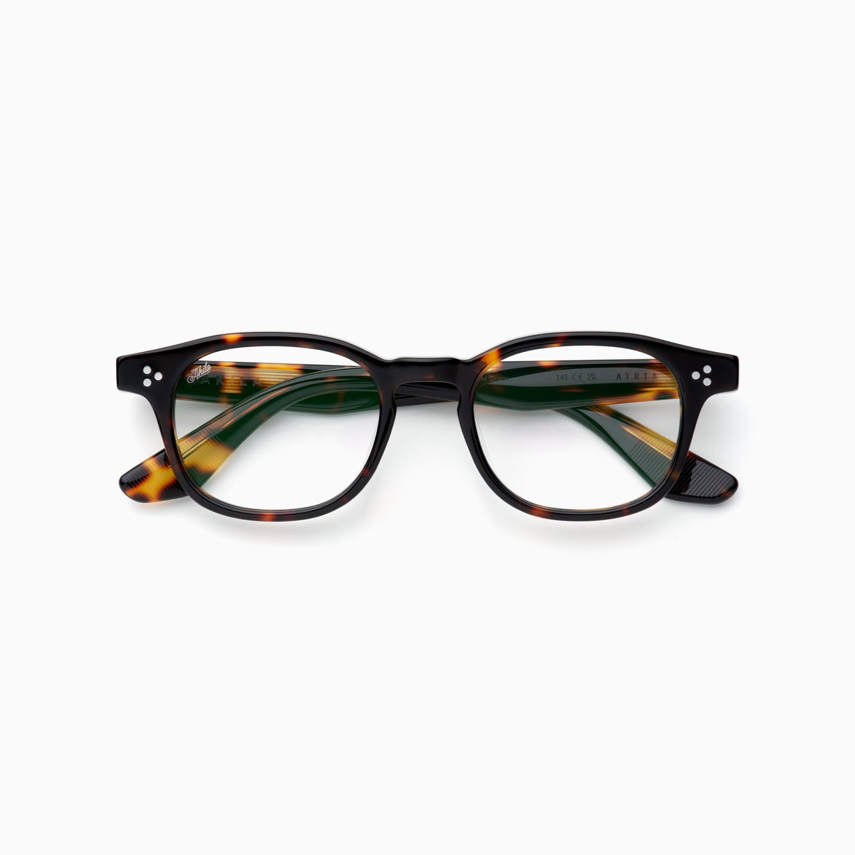 Mahogany Tortoise