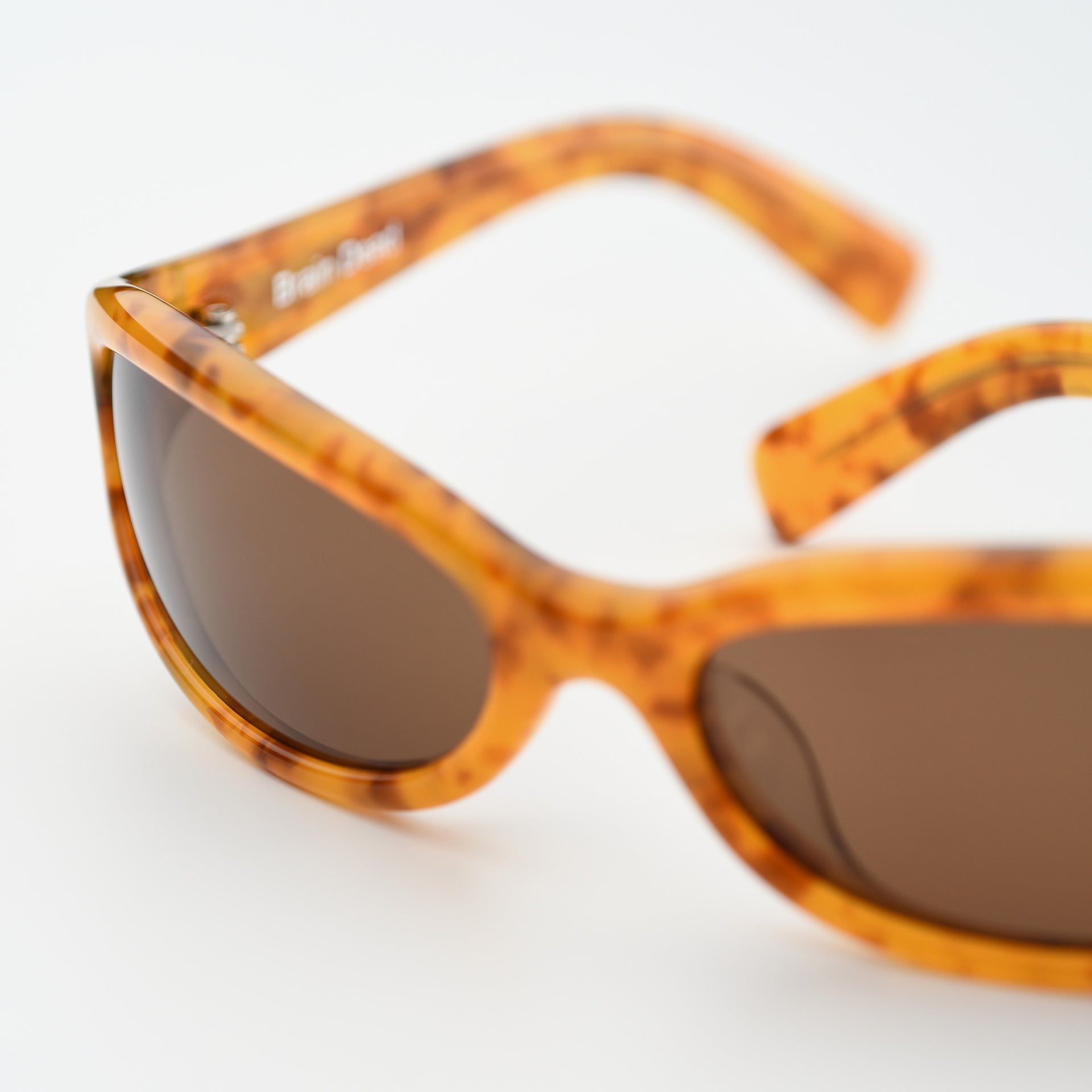 Lt Tortoise / Brown