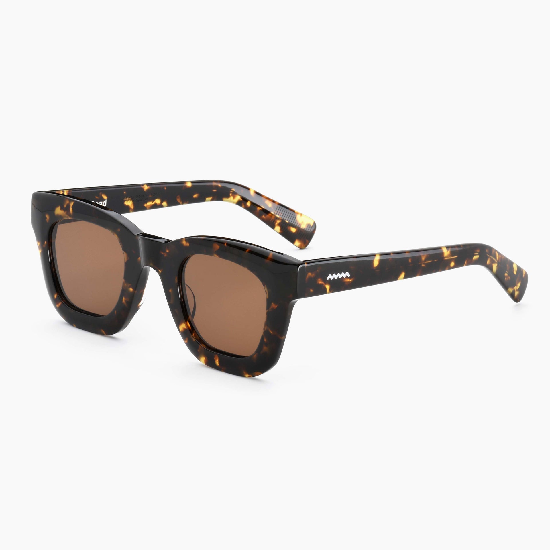 Tortoise / Brown