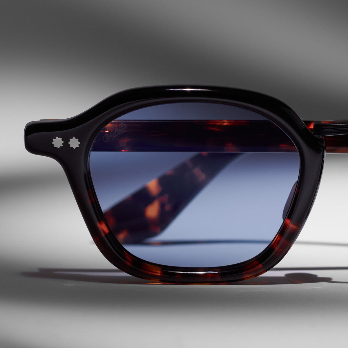 Black & Tortoise / Blue