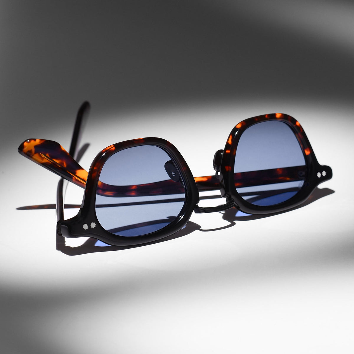 Black & Tortoise / Blue