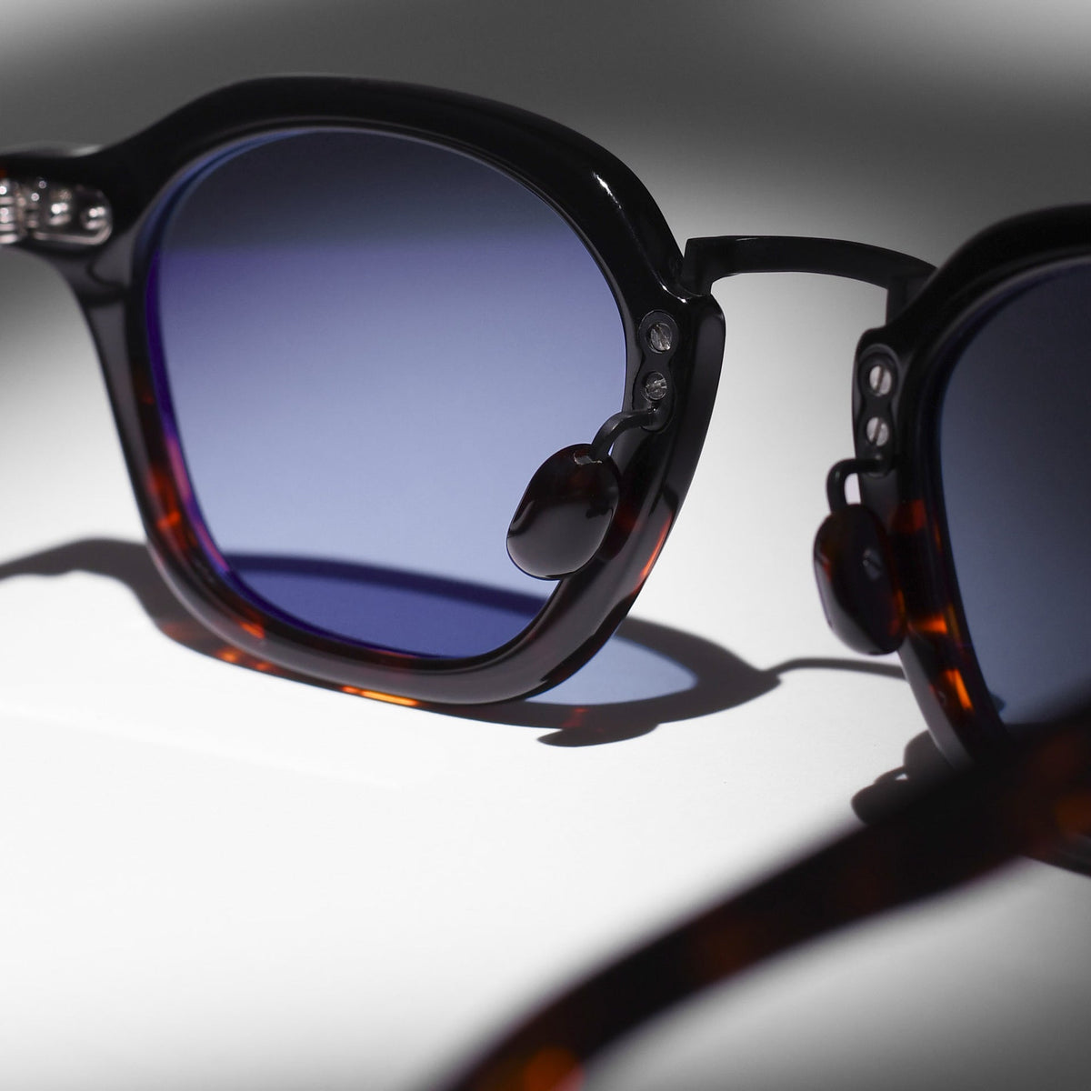 Black & Tortoise / Blue