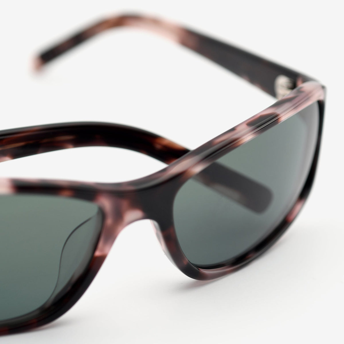 Rose Tortoise / Green