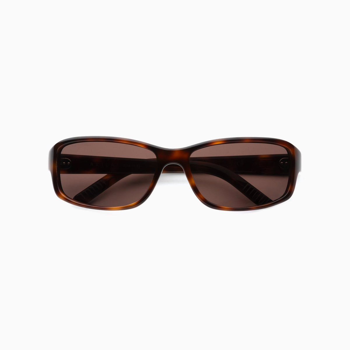 Hazel Tortoise / Raisin