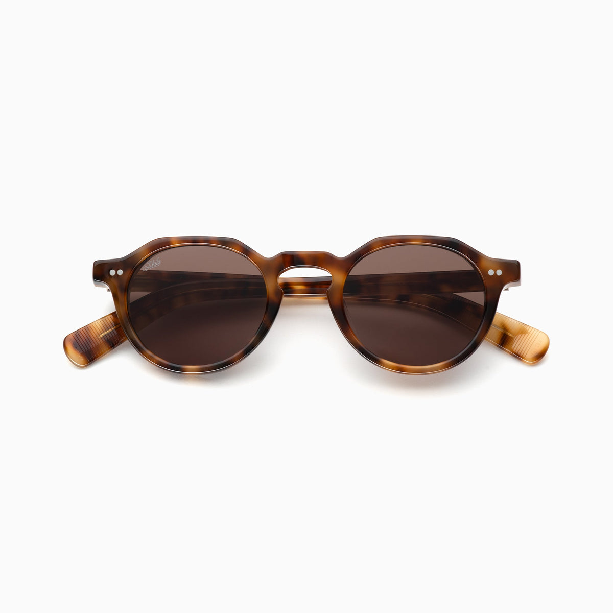 Tortoise / Plum