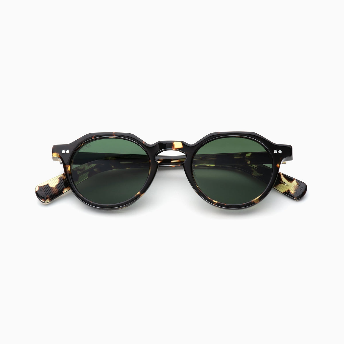 Tokyo Tortoise / Bottle Green