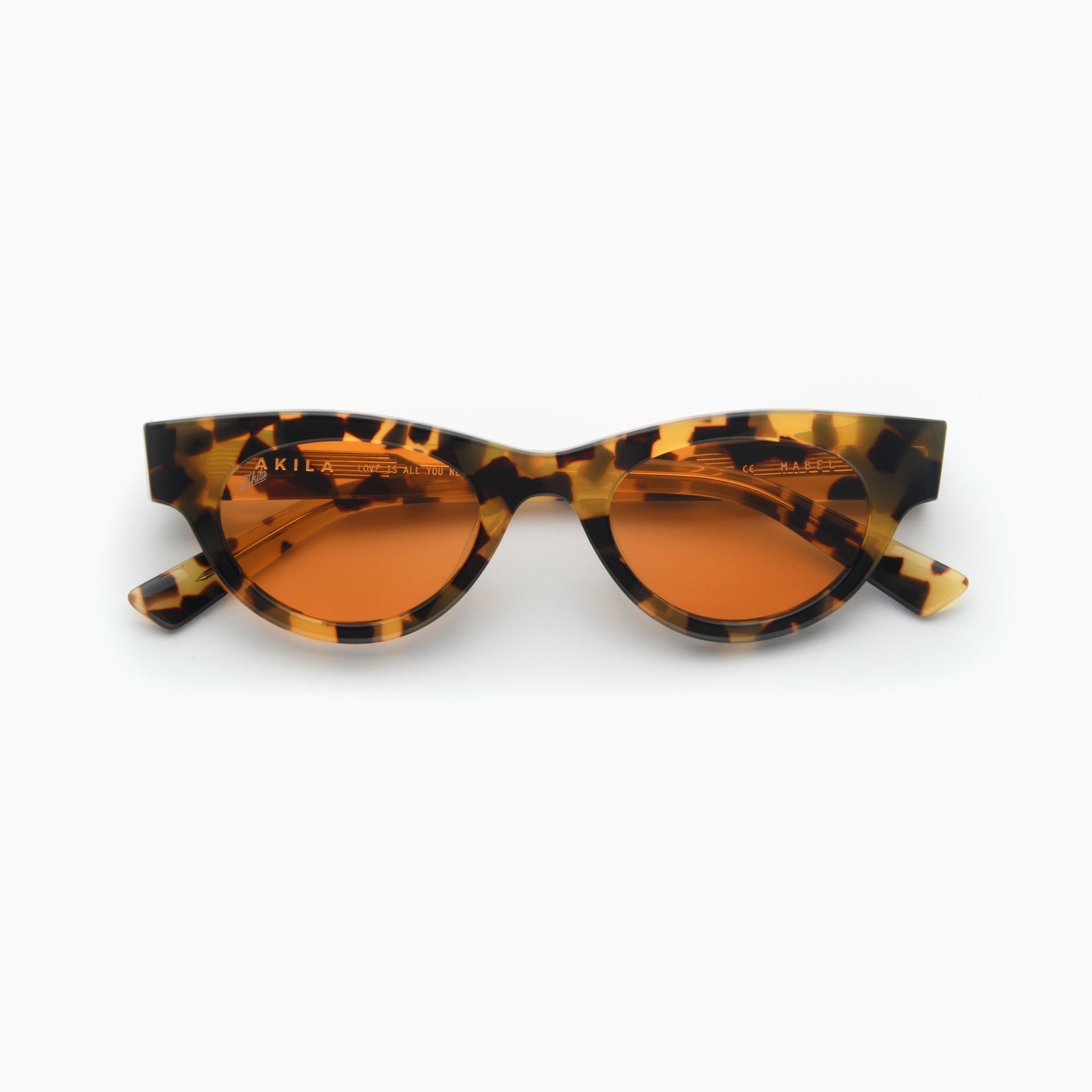 Tortoise / Orange