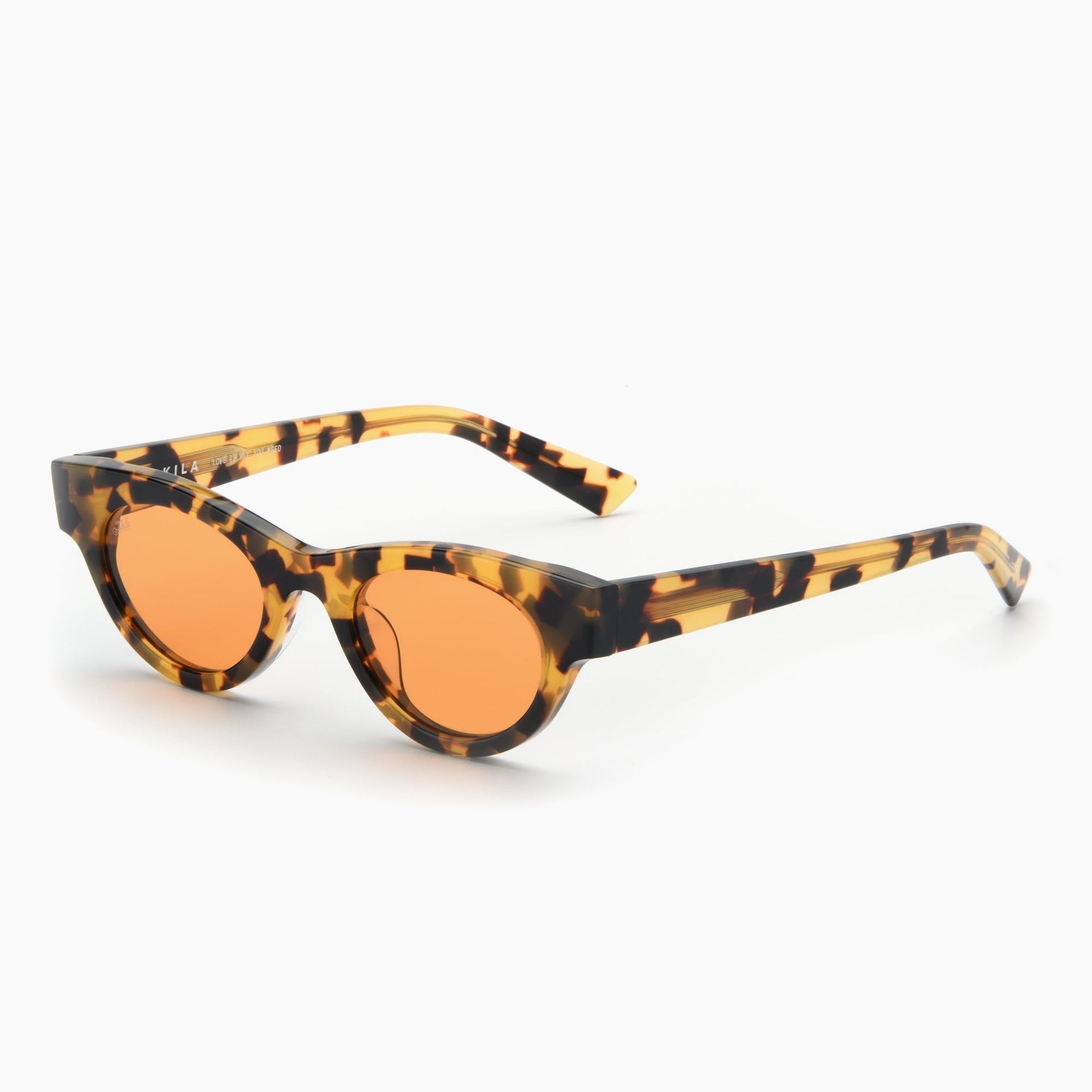 Tortoise / Orange
