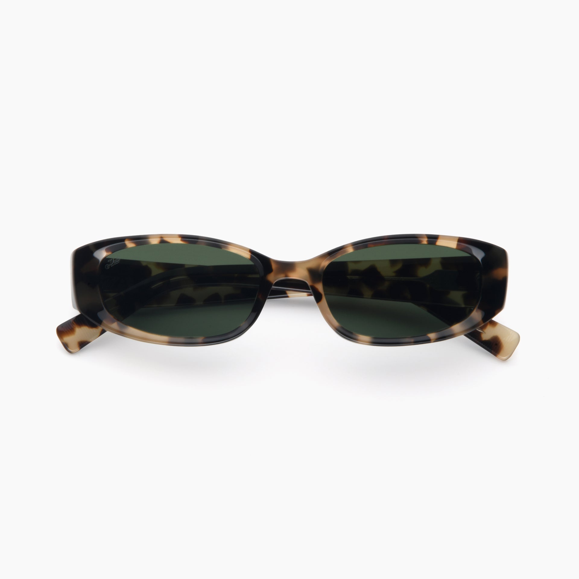 Tortoise / Pine