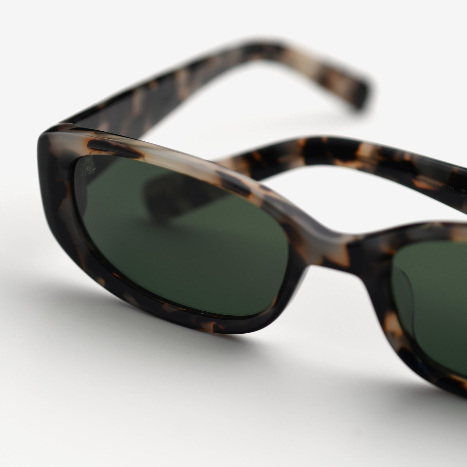 Tortoise / Pine