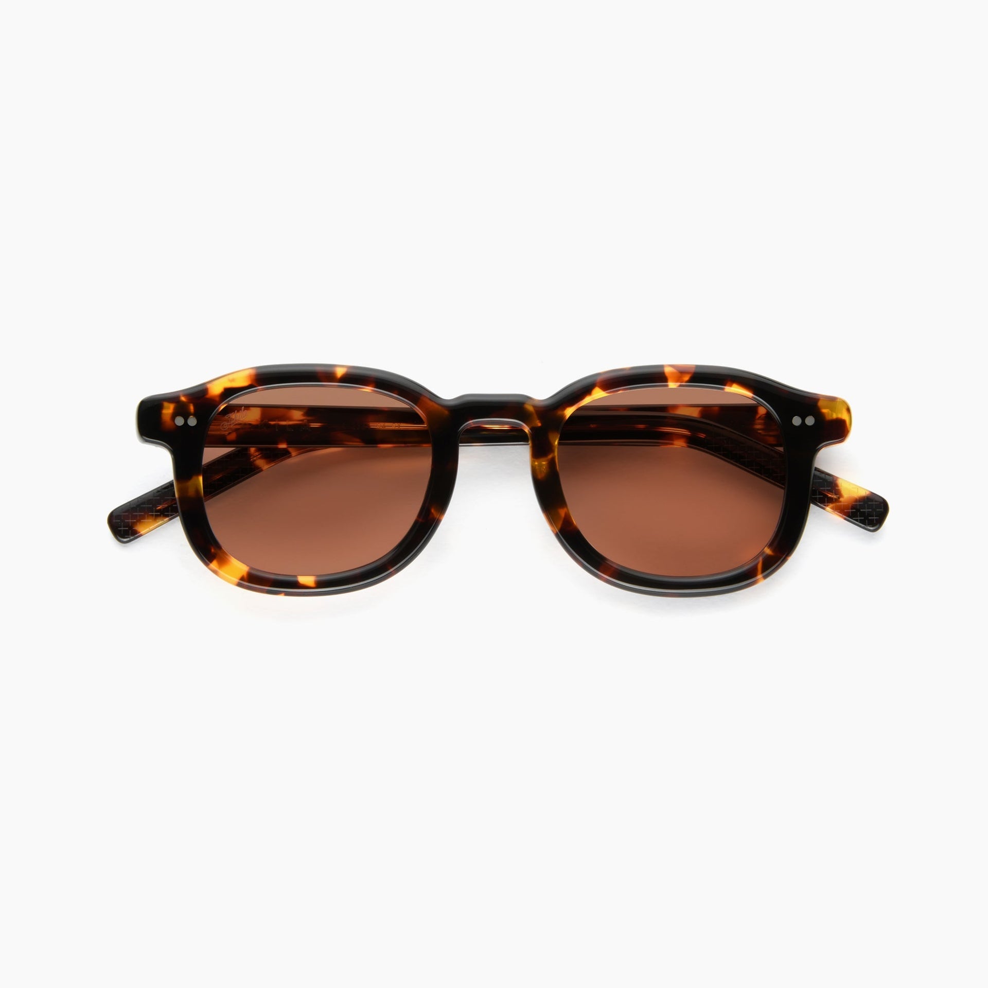 Tokyo Tortoise / Light-Adaptive Peach