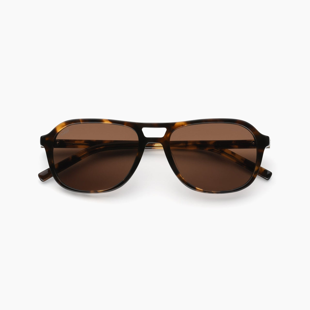 Tortoise / Brown