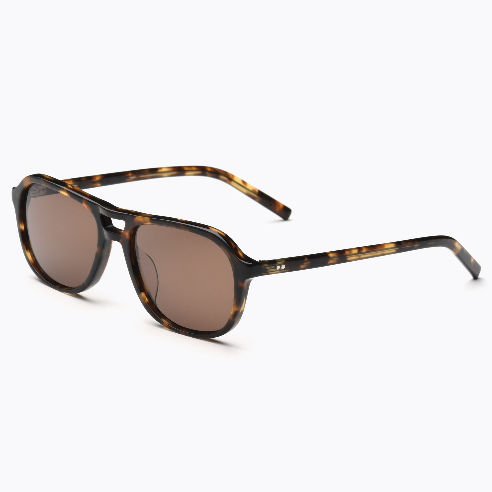 Tortoise / Brown