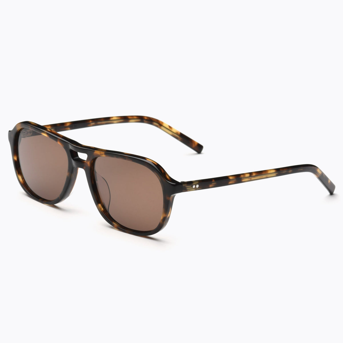 Tortoise / Brown