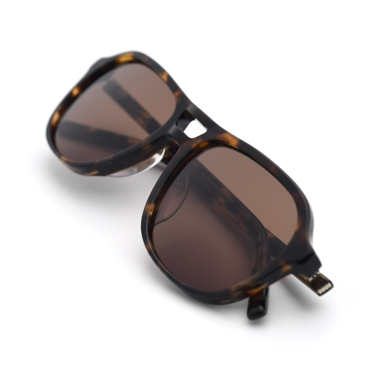 Tortoise / Brown