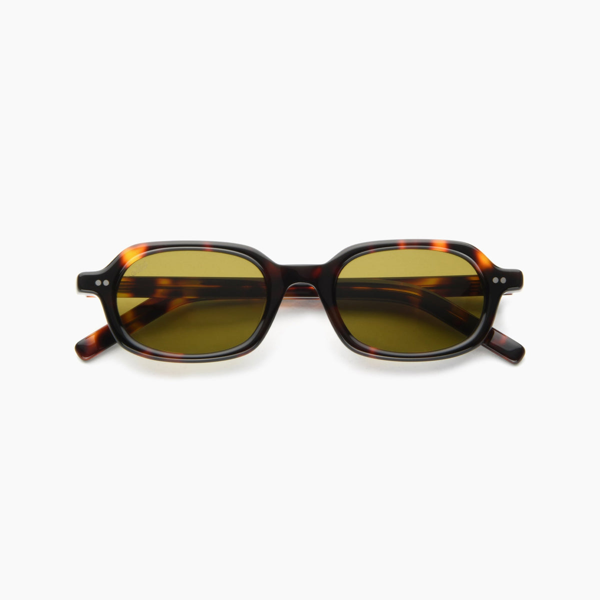 Tortoise / Brown