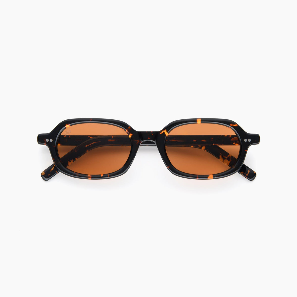 Tokyo Tortoise / Orange