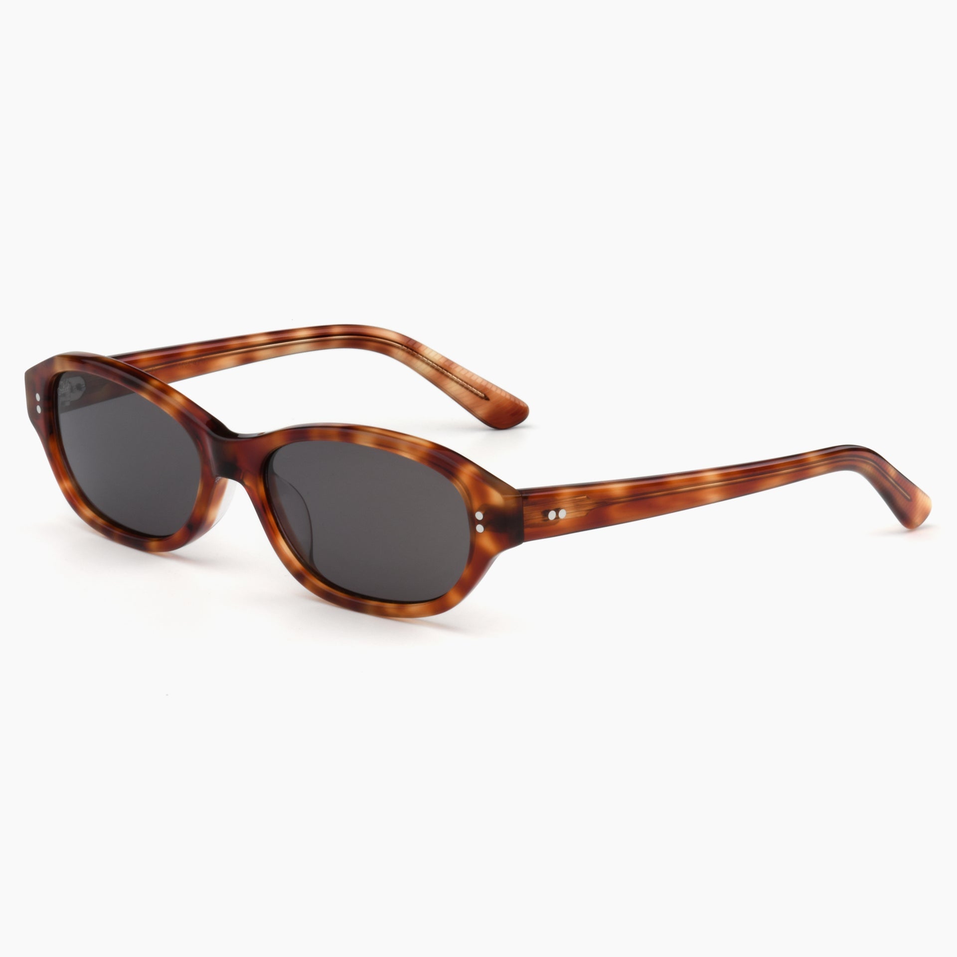 Toffee Tortoise / Asphalt