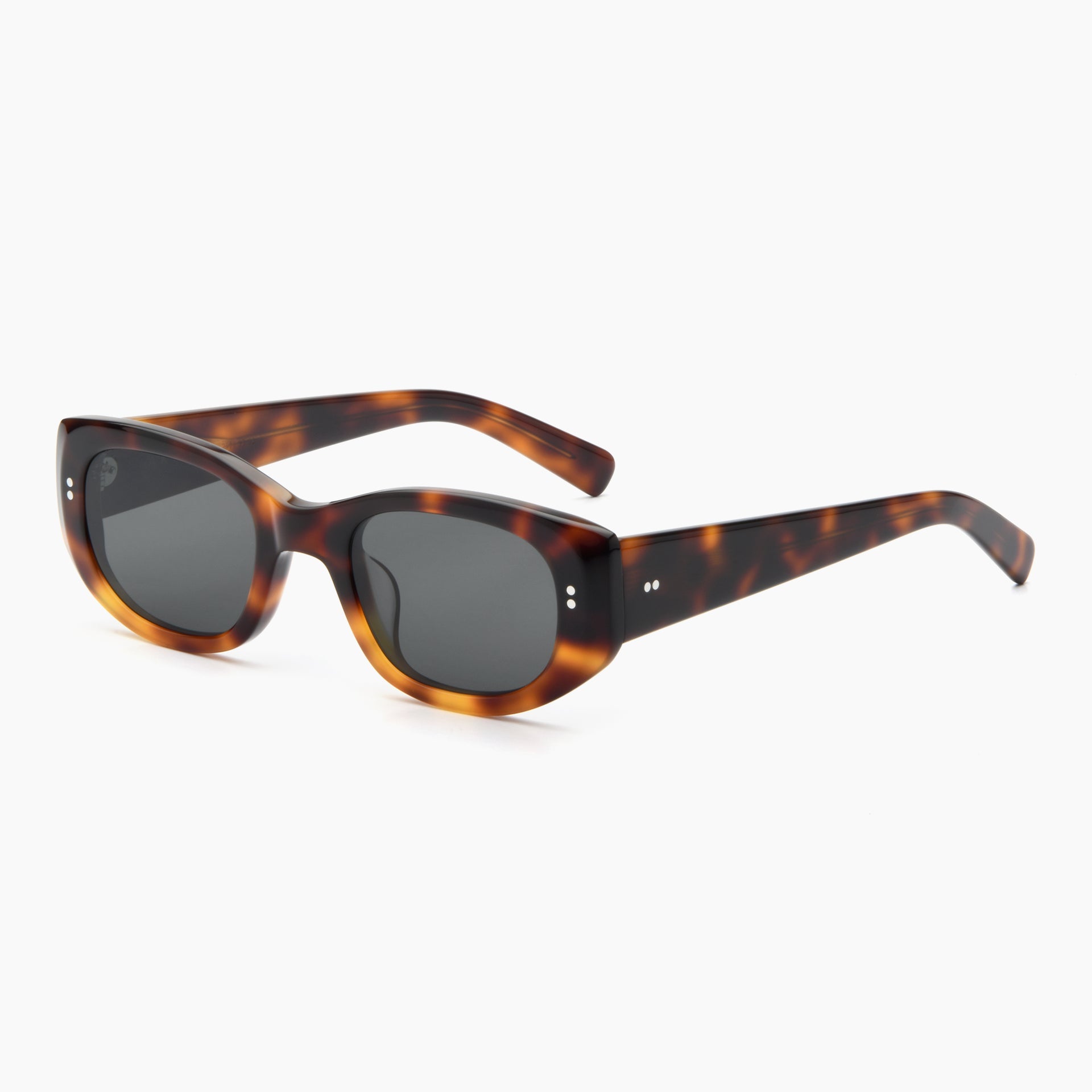 Tortoise / Black