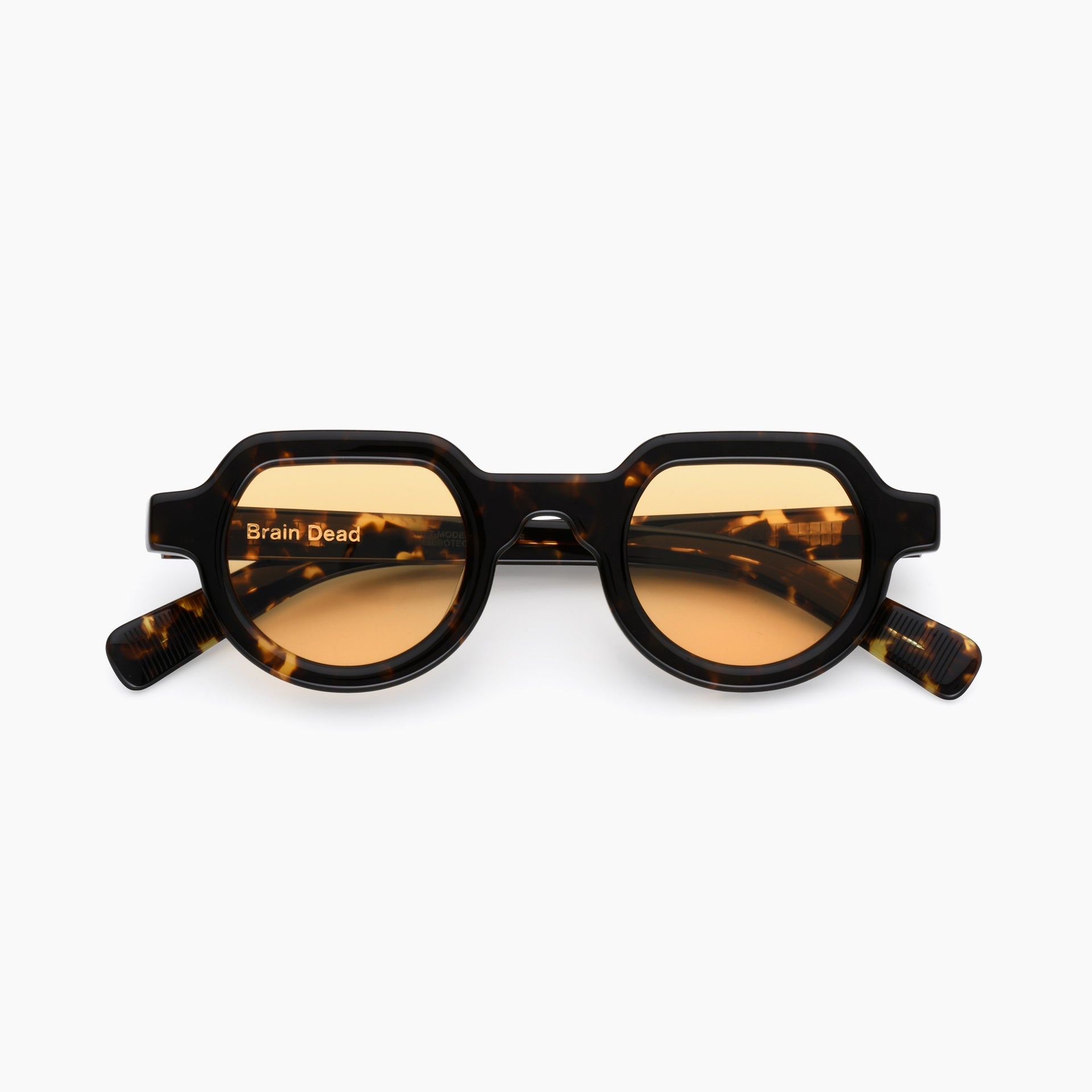 Tortoise / Yellow