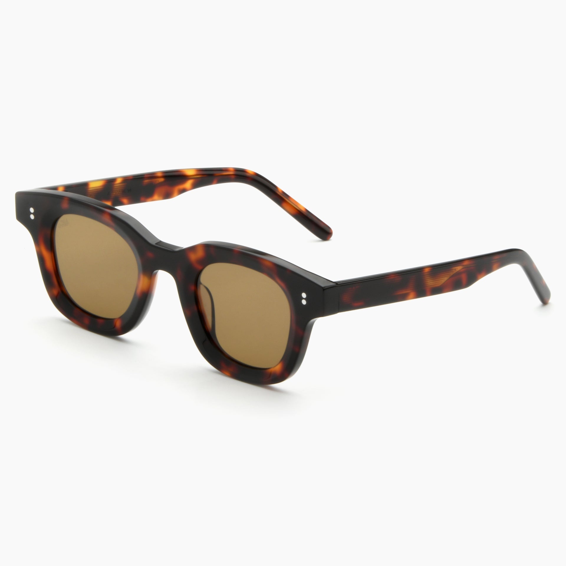 Tortoise / Brown