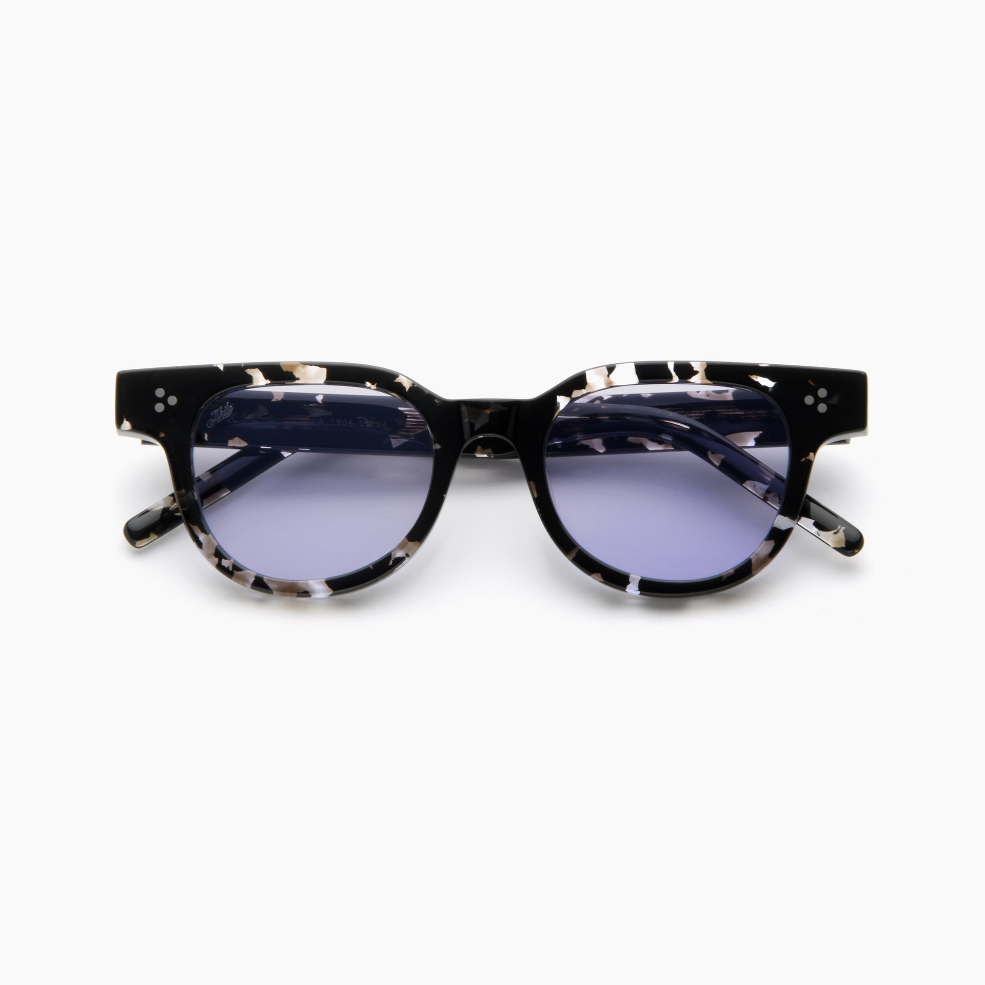 Arctic Tortoise / Violet