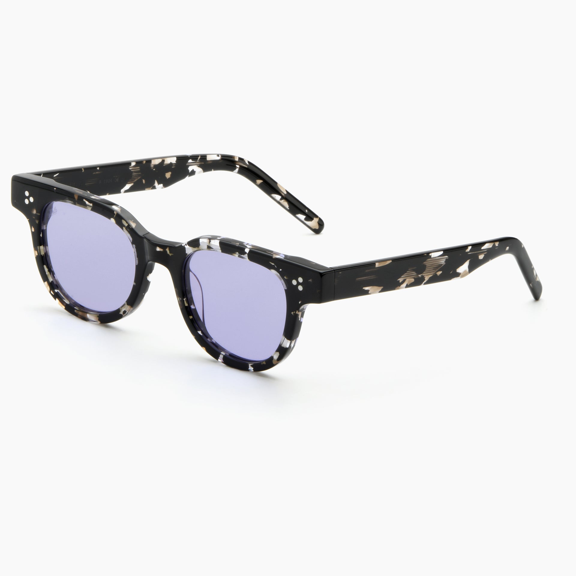 Arctic Tortoise / Violet