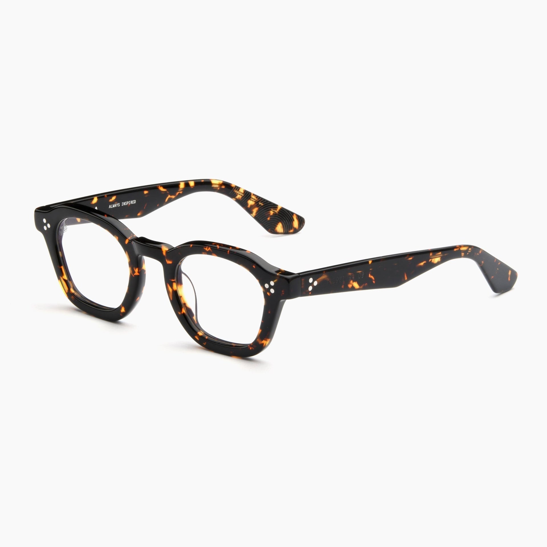 Tokyo Tortoise