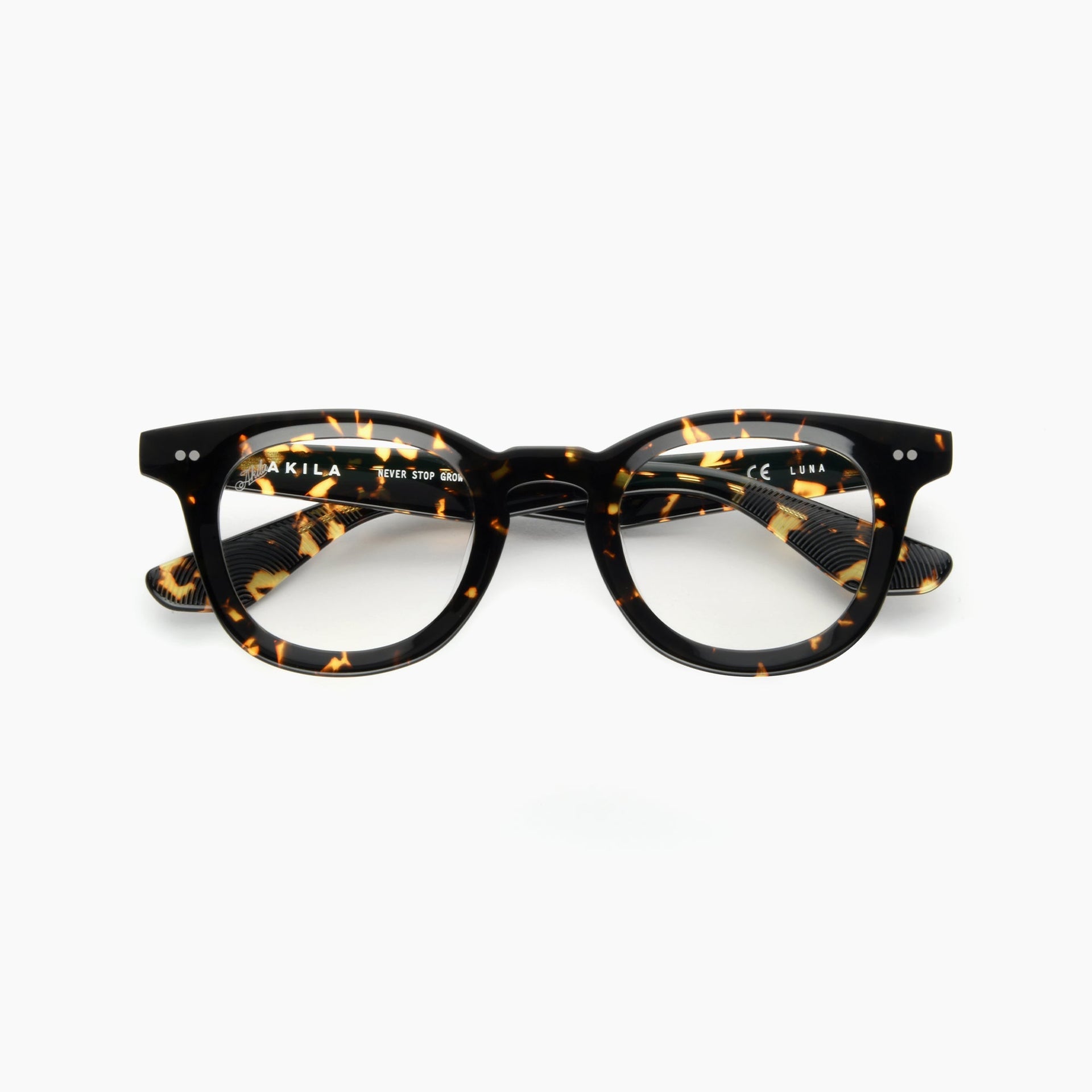 Tokyo Tortoise