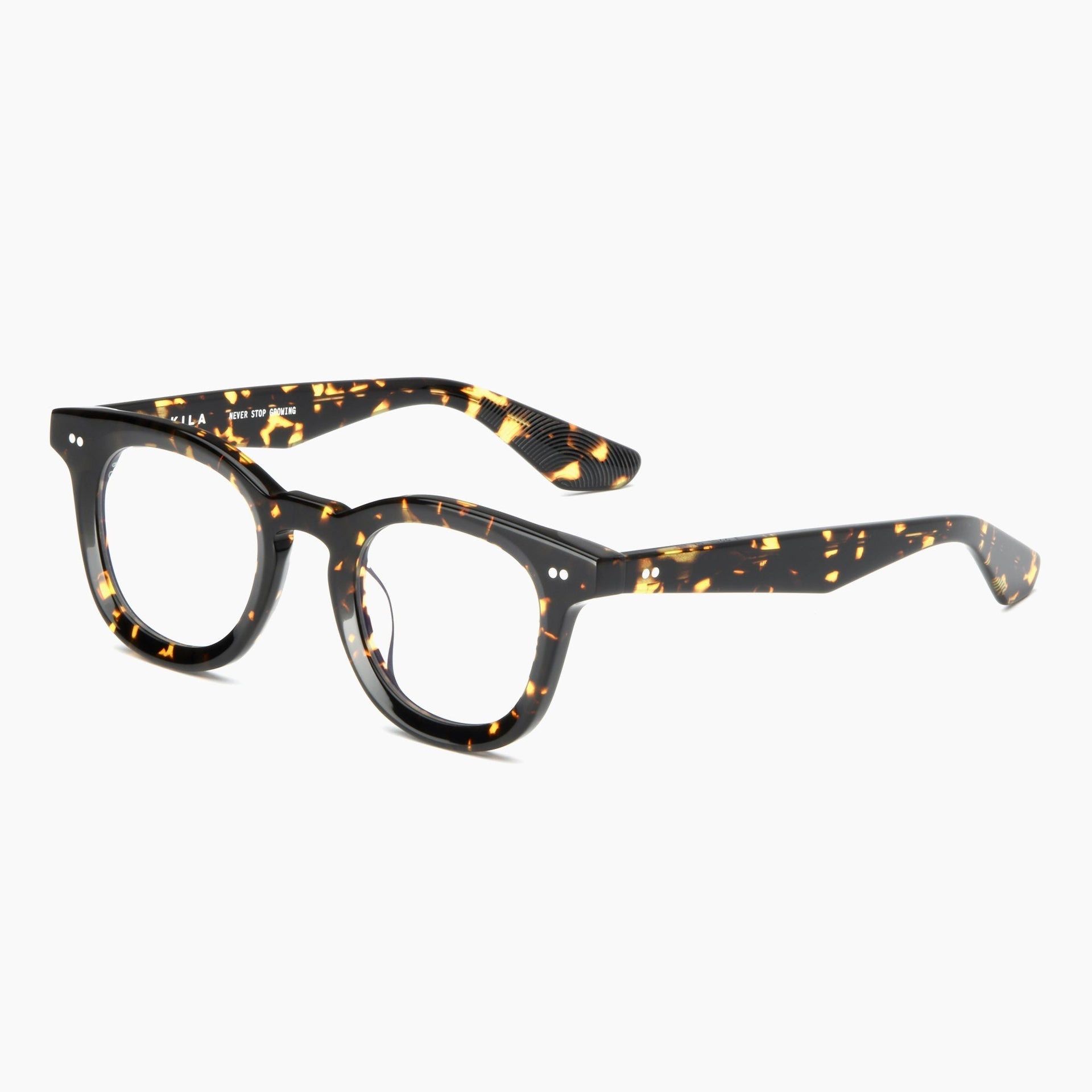 Tokyo Tortoise