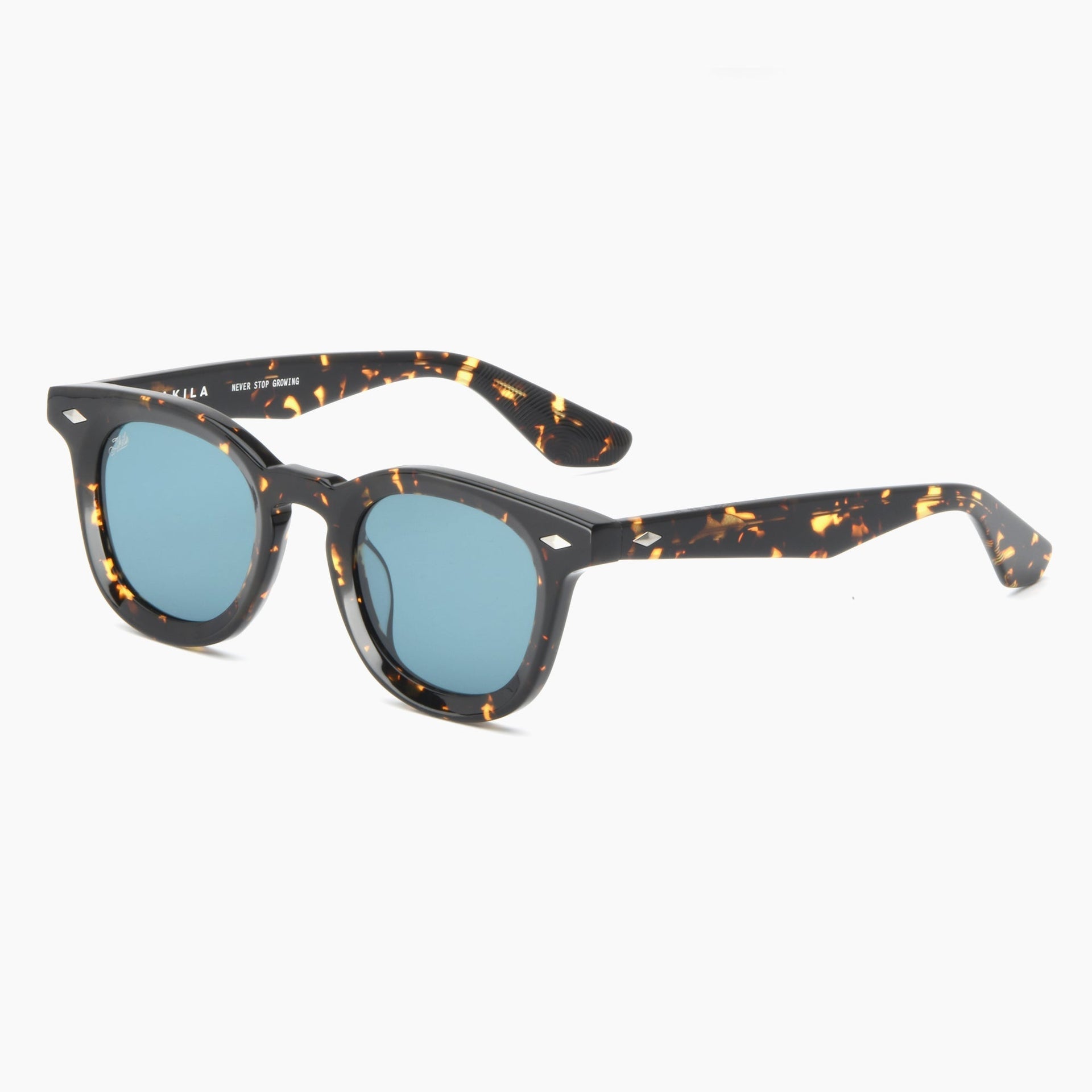Tokyo Tortoise / Teal