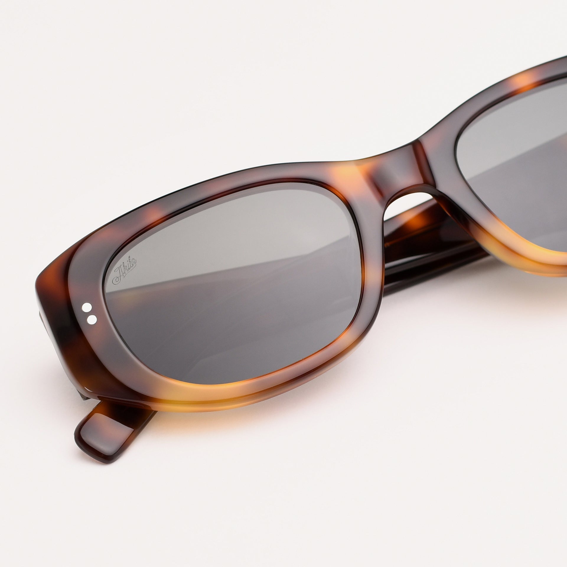 Tortoise / Black